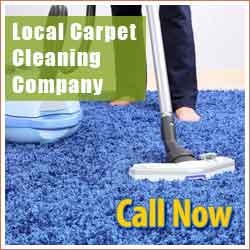 Contact Carpet Cleaning Services